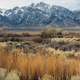 Vegetation grows in front of the partially snow-capped Sierra Nevada Mountains on February 20, 2022 near Lone Pine, California.